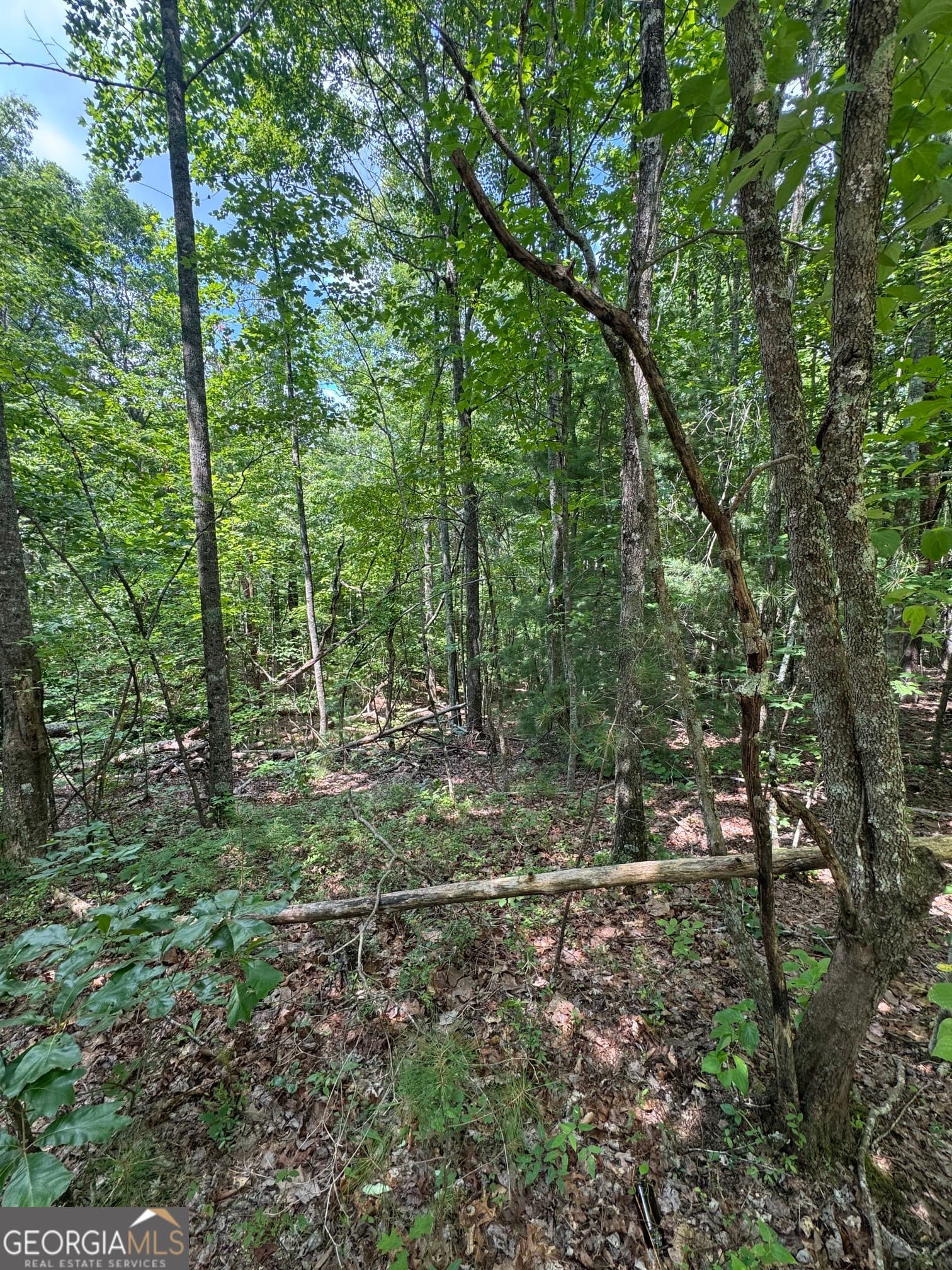 residential lot for sale at TR 3,4 Lakeland Drive, Ellijay, GA 30540 — photo 2