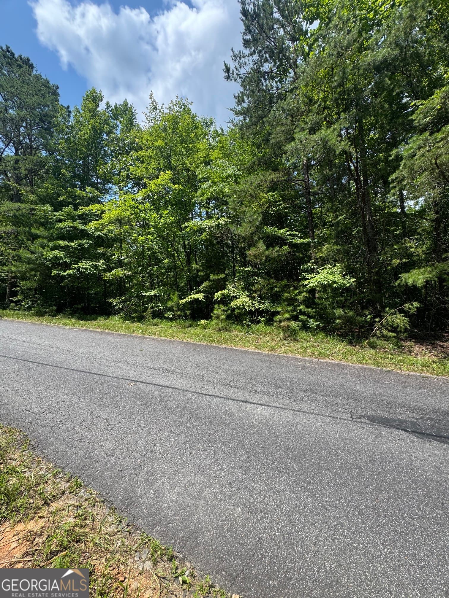 residential lot for sale at TR 3,4 Lakeland Drive, Ellijay, GA 30540 — photo 6