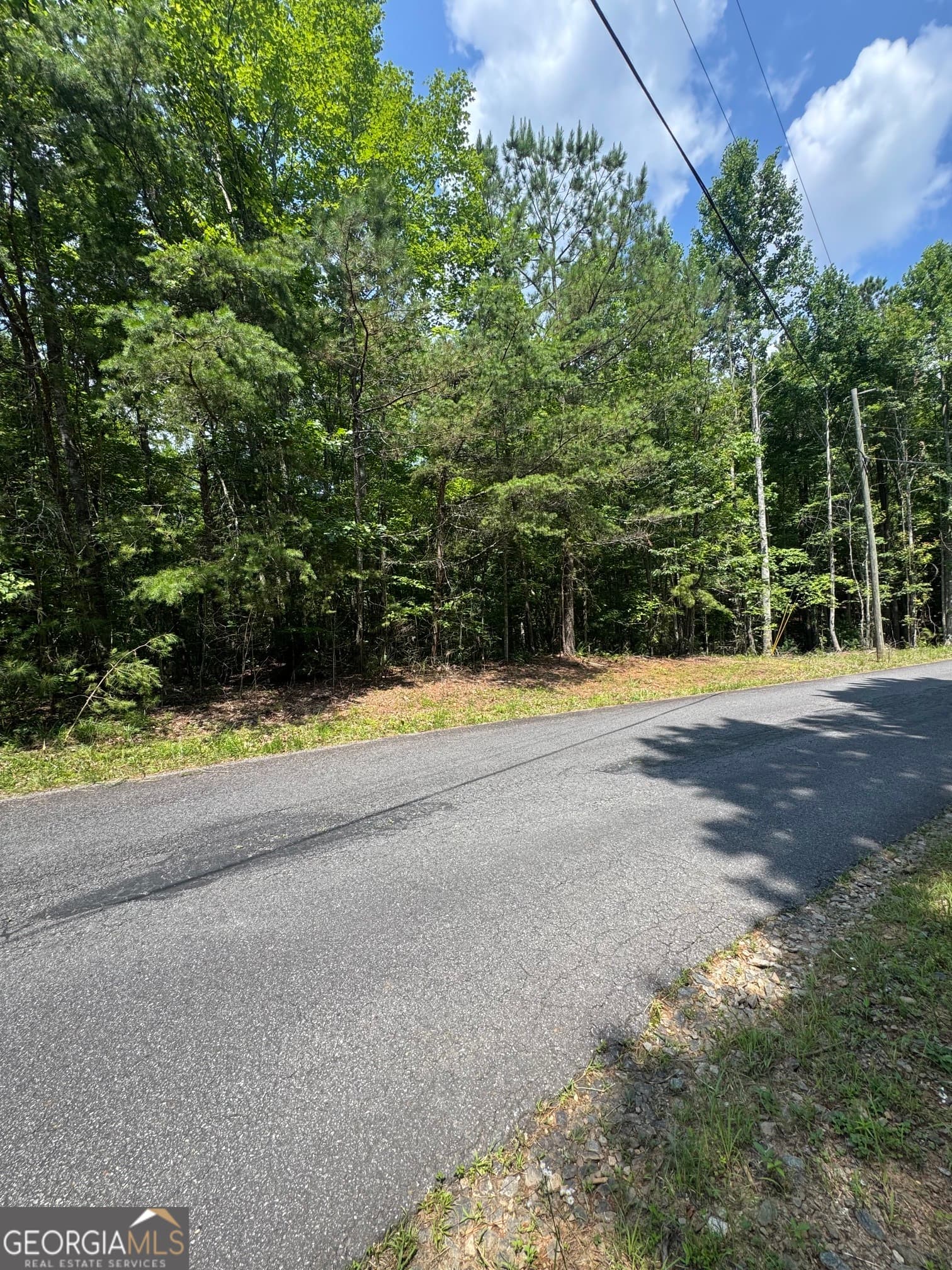 residential lot for sale at TR 3,4 Lakeland Drive, Ellijay, GA 30540 — photo 7
