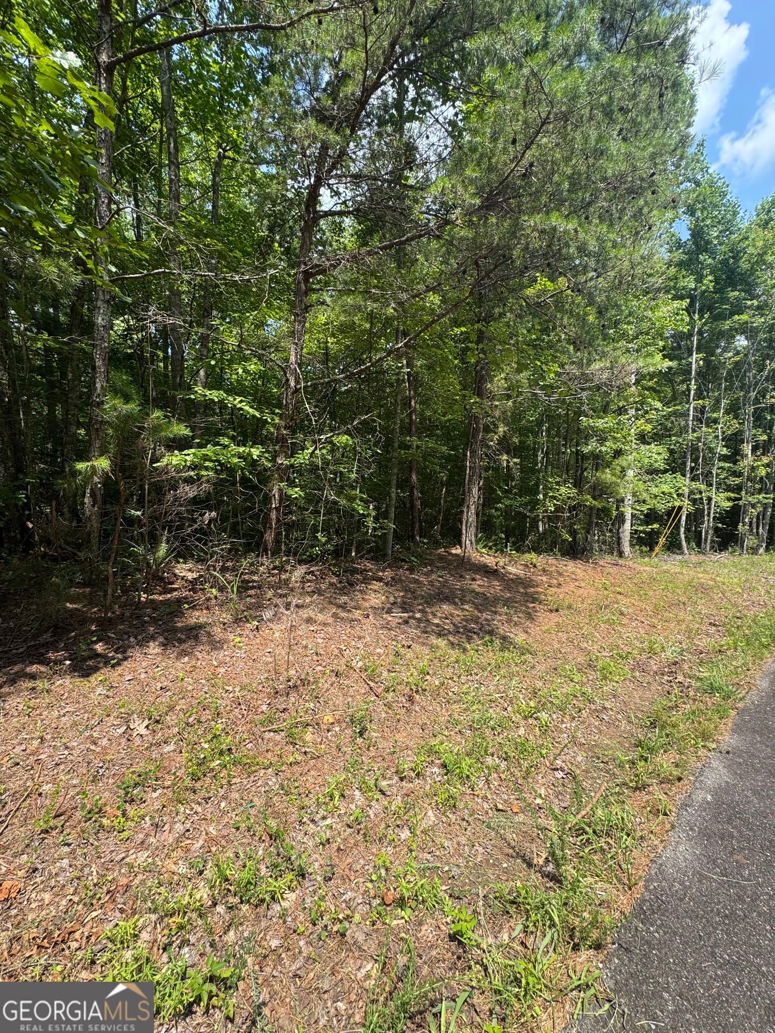 residential lot for sale at TR 3,4 Lakeland Drive, Ellijay, GA 30540 — photo 5