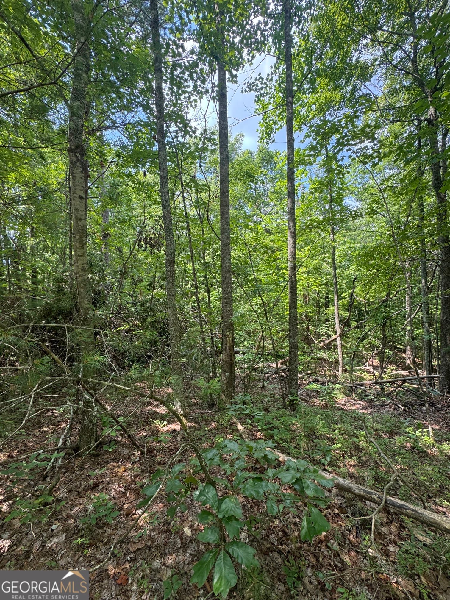 residential lot for sale at TR 3,4 Lakeland Drive, Ellijay, GA 30540 — photo 4