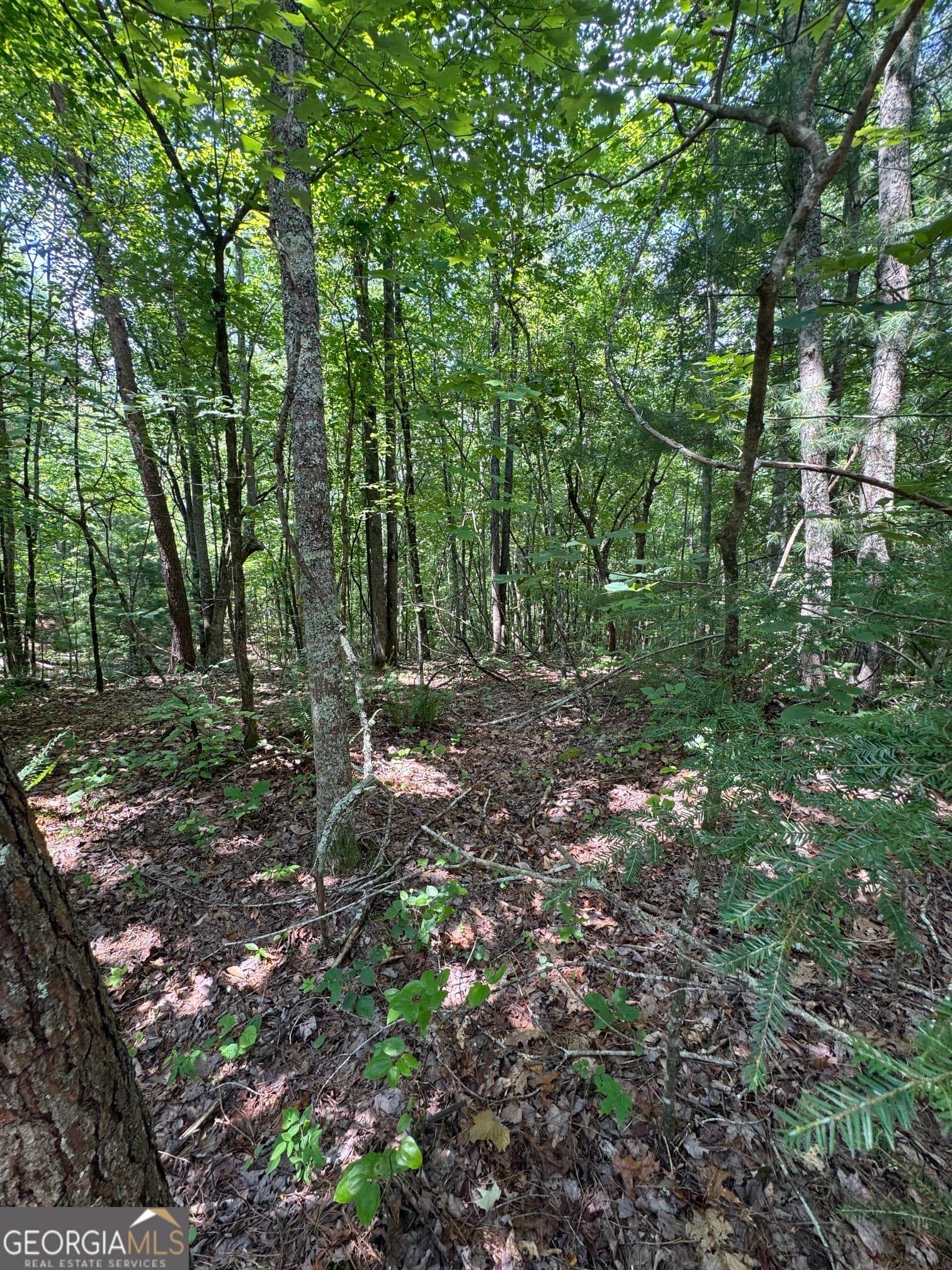 residential lot for sale at TR 3,4 Lakeland Drive, Ellijay, GA 30540 — photo 8