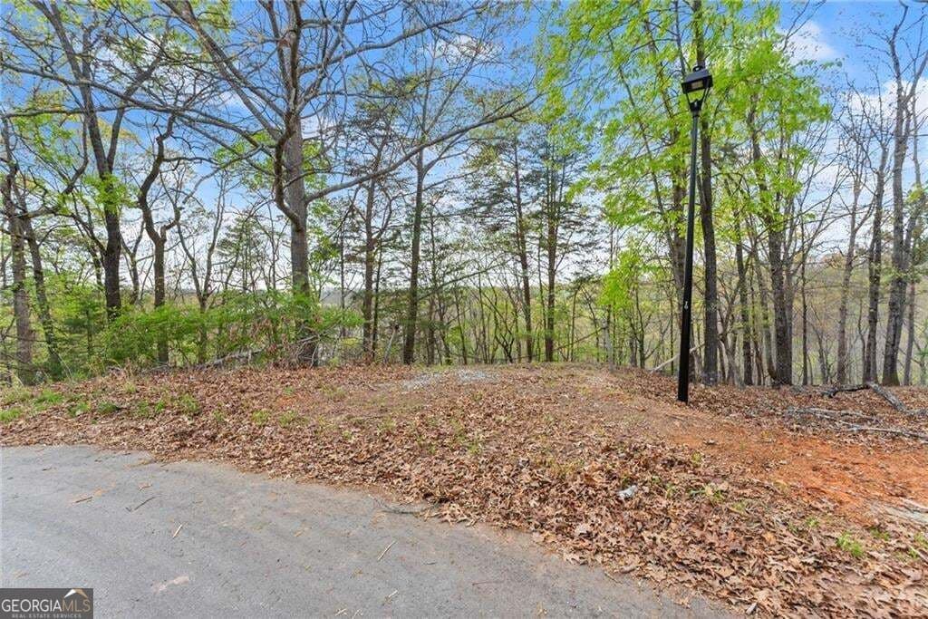 residential lot for sale at 0 Thompson Ovlk, Gainesville, GA 30506 — photo 6
