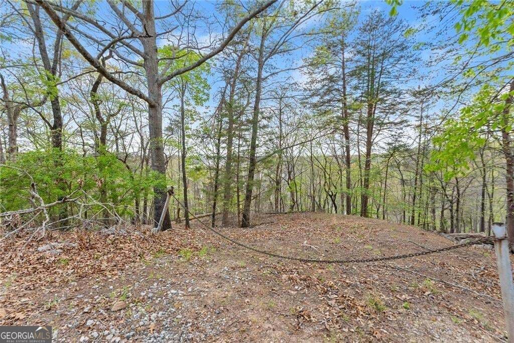 residential lot for sale at 0 Thompson Ovlk, Gainesville, GA 30506 — photo 7
