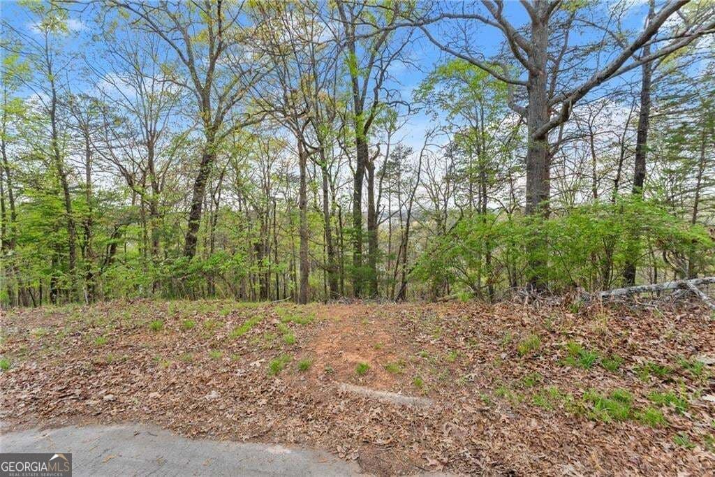 residential lot for sale at 0 Thompson Ovlk, Gainesville, GA 30506 — photo 5