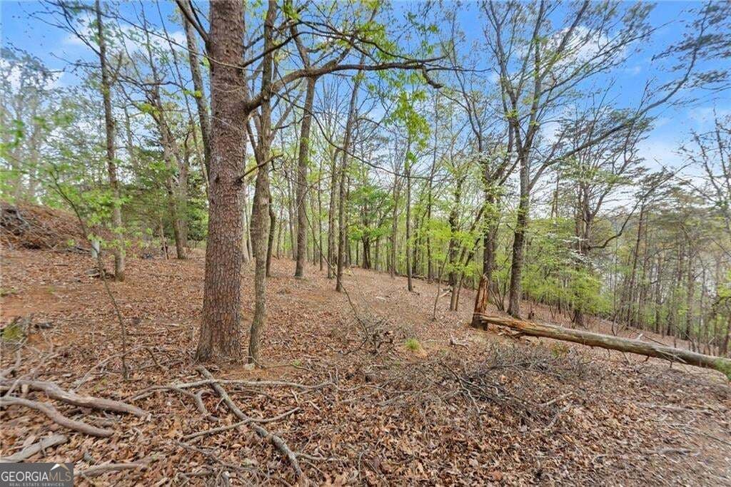 residential lot for sale at 0 Thompson Ovlk, Gainesville, GA 30506 — photo 9