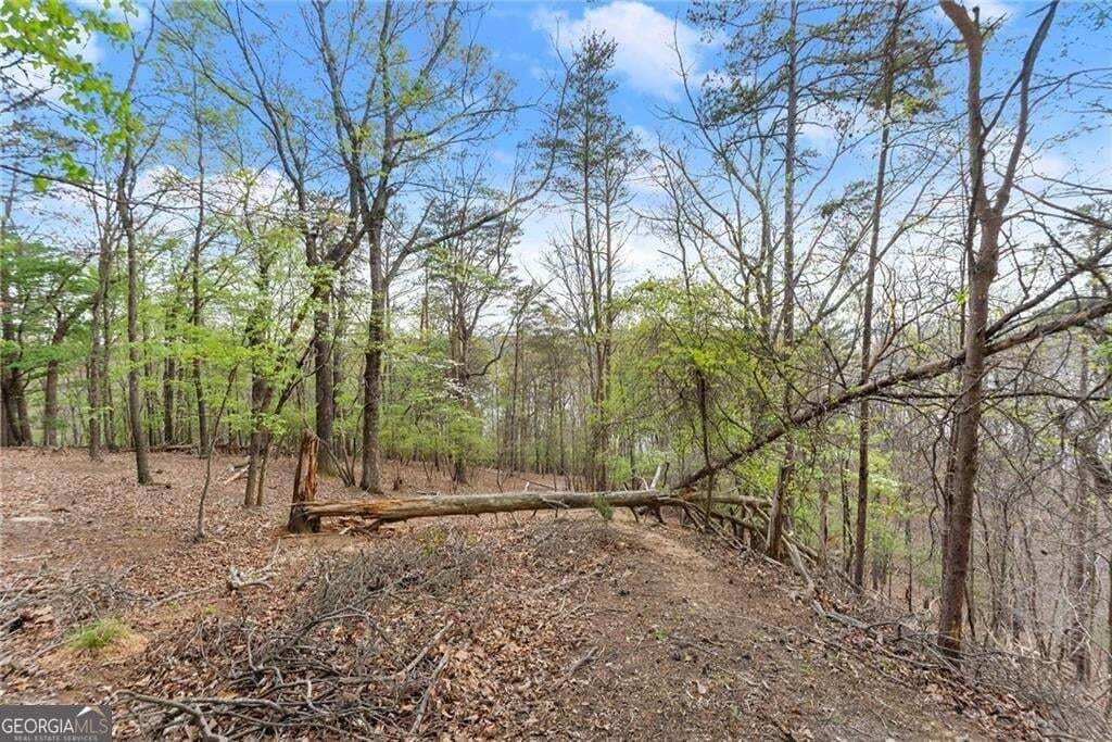 residential lot for sale at 0 Thompson Ovlk, Gainesville, GA 30506 — photo 10
