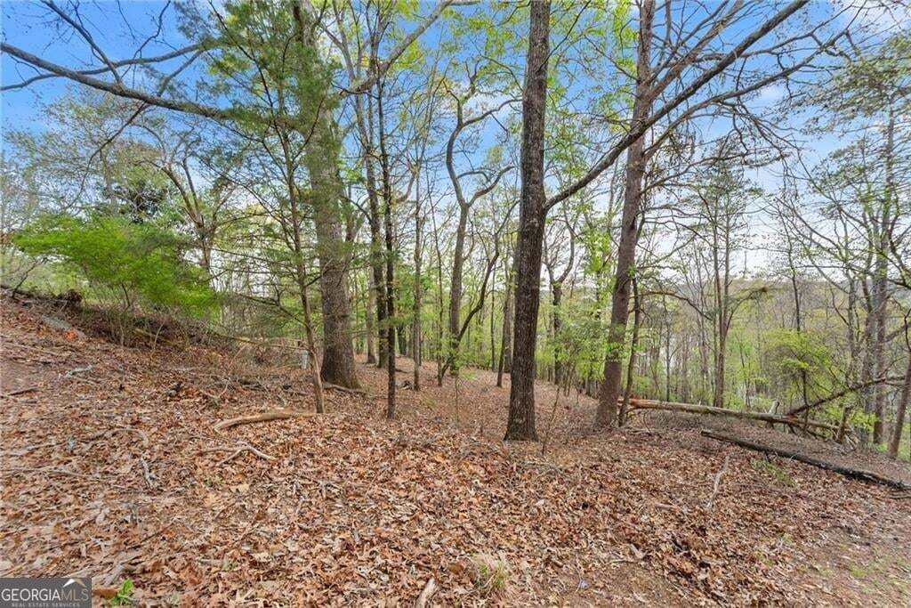 residential lot for sale at 0 Thompson Ovlk, Gainesville, GA 30506 — photo 8