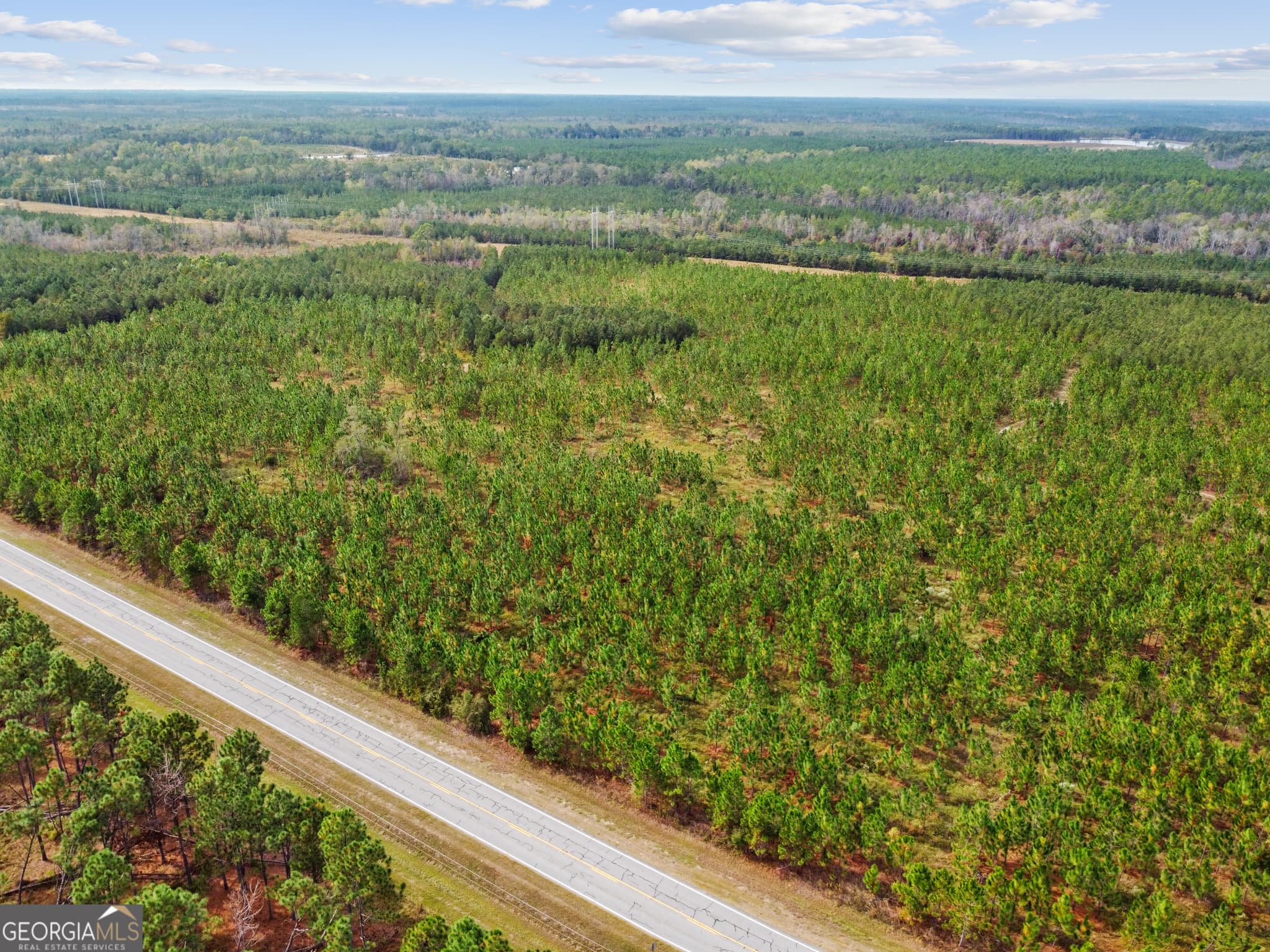 unimproved land for sale at 0 Hwy 297 TRACT 4, Soperton, GA 30457 — photo 6
