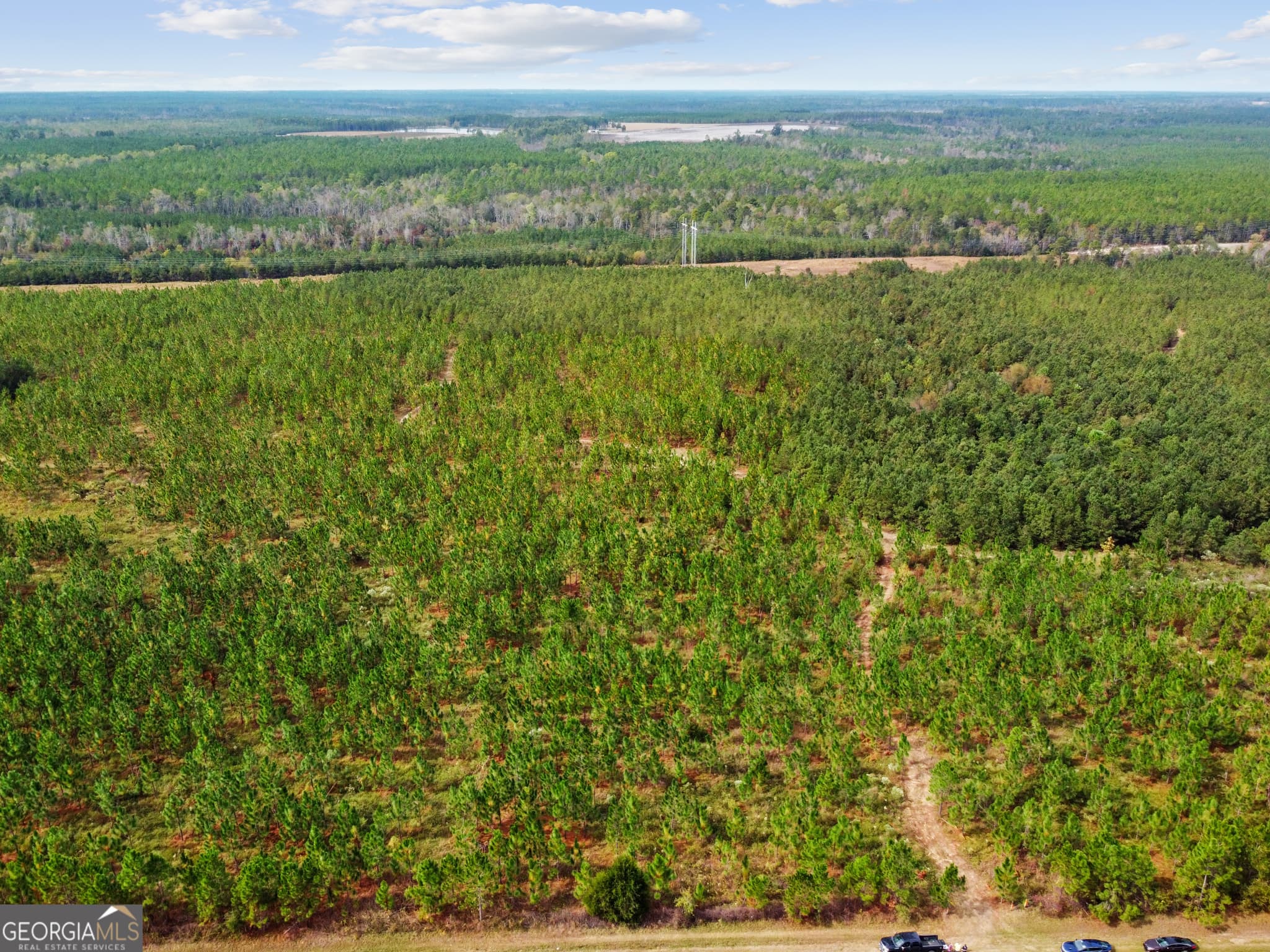 unimproved land for sale at 0 Hwy 297 TRACT 4, Soperton, GA 30457 — photo 7