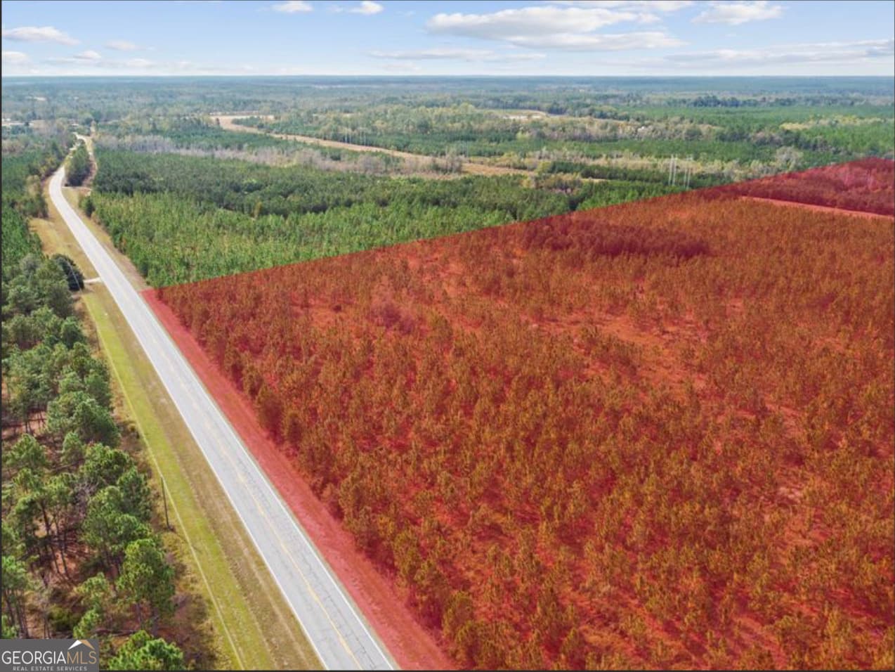 unimproved land for sale at 0 Hwy 297 TRACT 4, Soperton, GA 30457 — photo 3