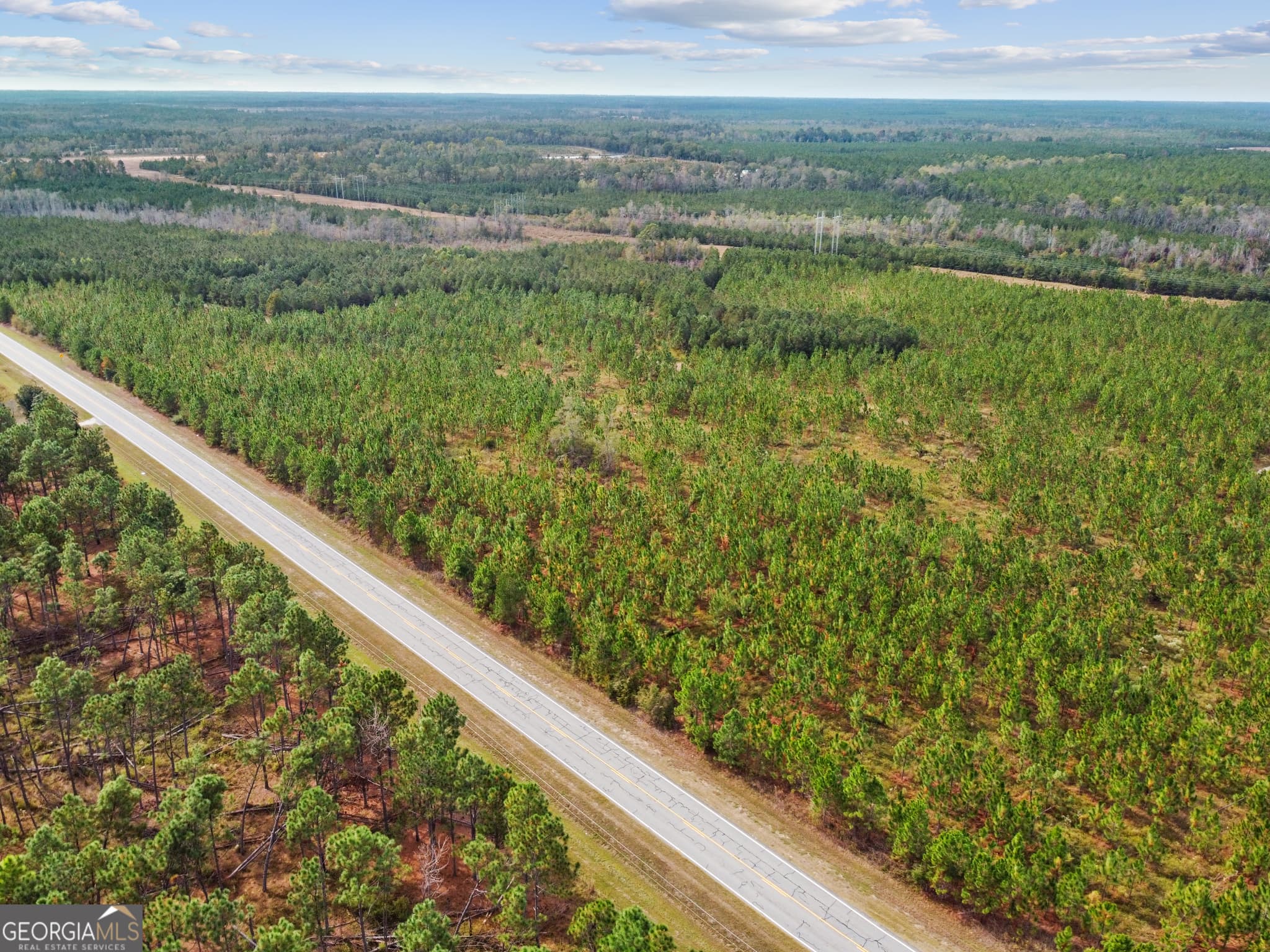 unimproved land for sale at 0 Hwy 297 TRACT 4, Soperton, GA 30457 — photo 5