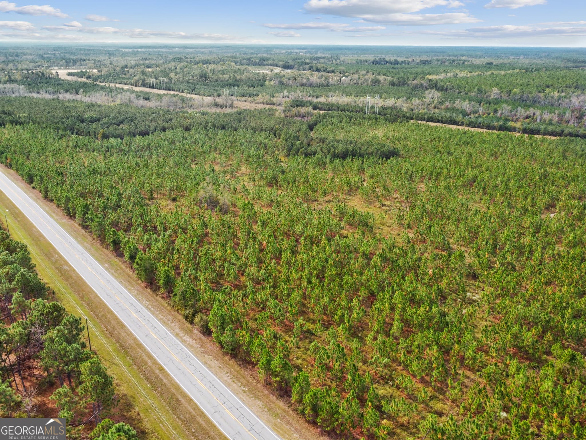unimproved land for sale at 0 Hwy 297 TRACT 4, Soperton, GA 30457 — photo 10