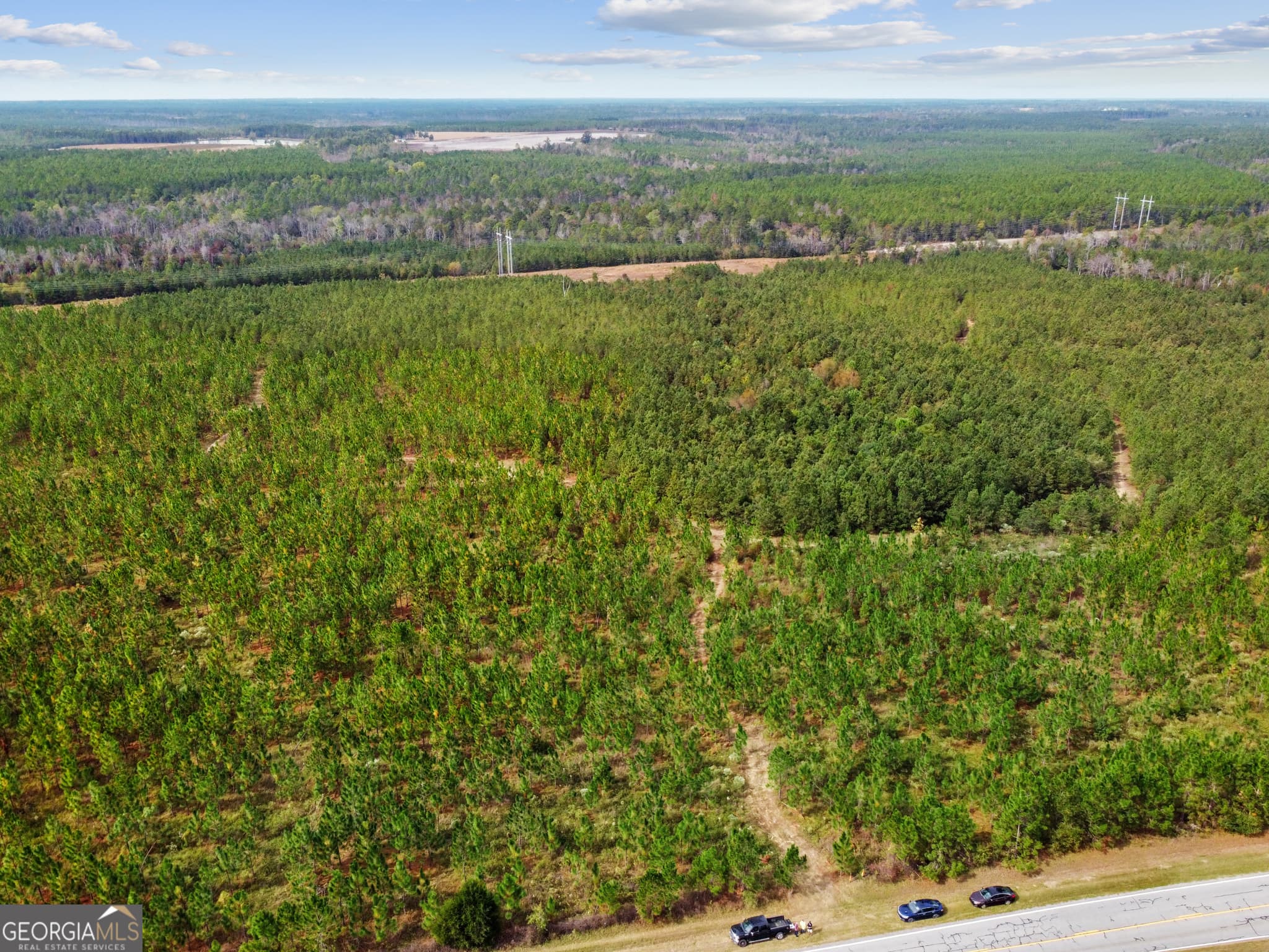 unimproved land for sale at 0 Hwy 297 TRACT 4, Soperton, GA 30457 — photo 8