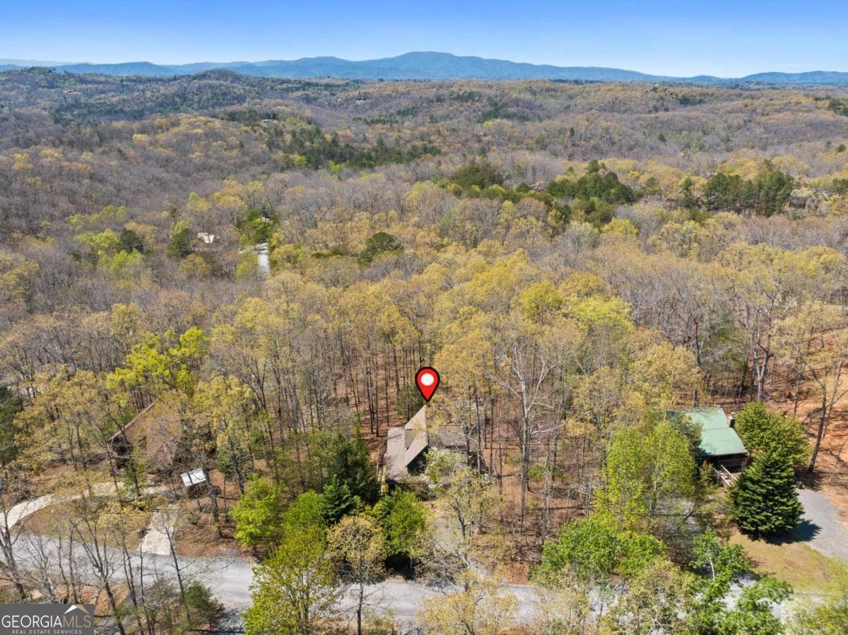 4 bedroom, 3.5 bathroom, 2,372 sq ft cabin,single family residence for sale at 236 Logan Drive 24, Mineral Bluff, GA 30559 — photo 6