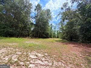 residential lot for sale at 0 Lakeview Drive, Alamo, GA 30411 — photo 2