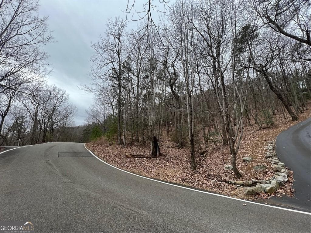 unimproved land for sale at 2538 Turnbury Lane, Jasper, GA 30143 — photo 6