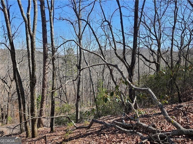 unimproved land for sale at 2538 Turnbury Lane, Jasper, GA 30143 — photo 7