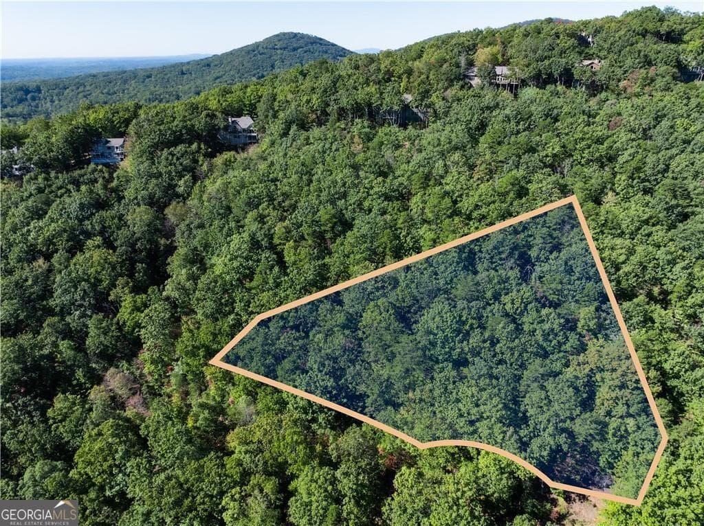 unimproved land for sale at 2538 Turnbury Lane, Jasper, GA 30143 — photo 3