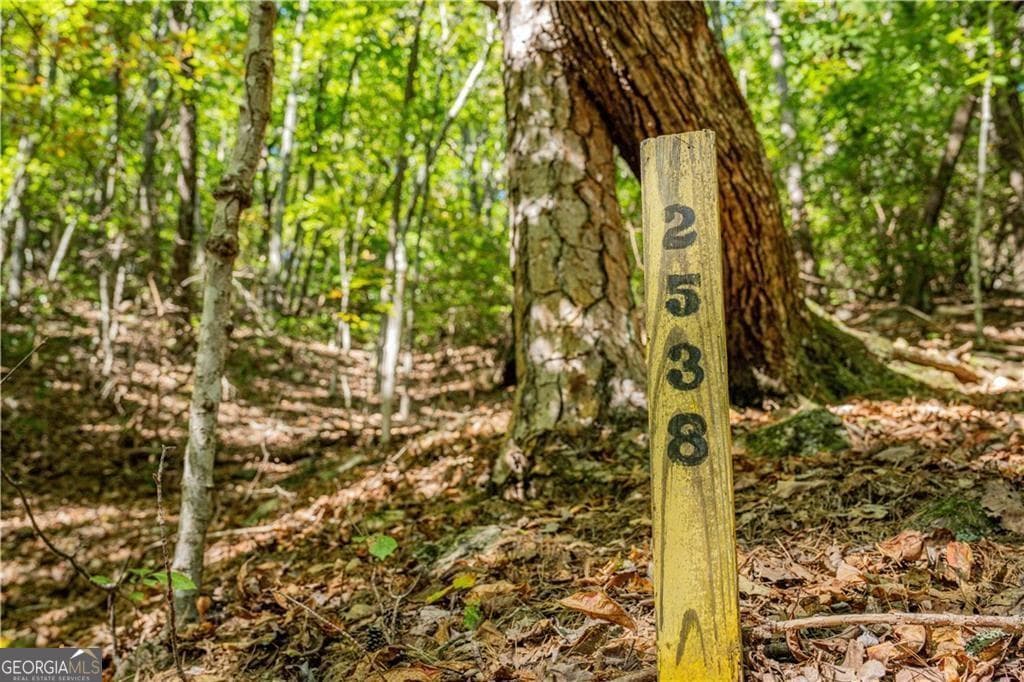 unimproved land for sale at 2538 Turnbury Lane, Jasper, GA 30143 — photo 8