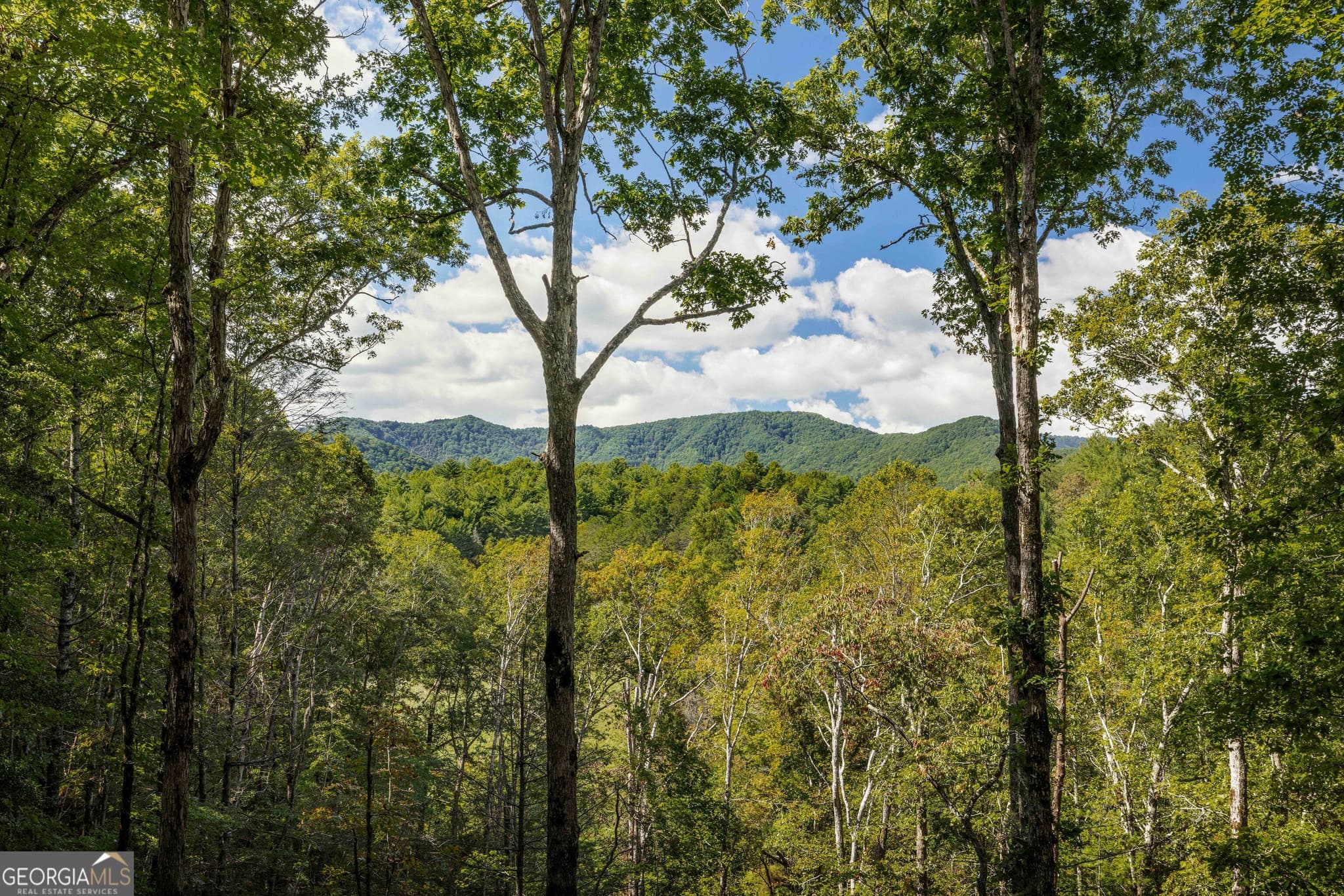 3 bedroom, 2.5 bathroom, 2,666 sq ft cabin,single family residence for sale at 808 Mill Stone Mountain Lane, Blue Ridge, GA 30513 — photo 2