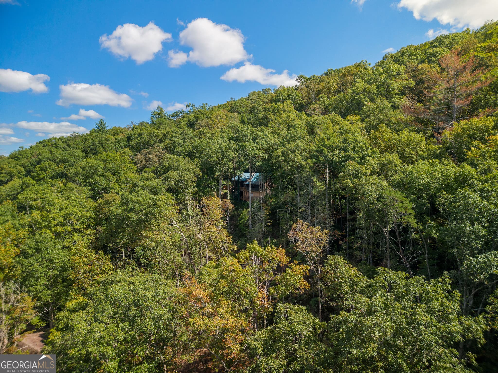 3 bedroom, 2.5 bathroom, 2,666 sq ft cabin,single family residence for sale at 808 Mill Stone Mountain Lane, Blue Ridge, GA 30513 — photo 6