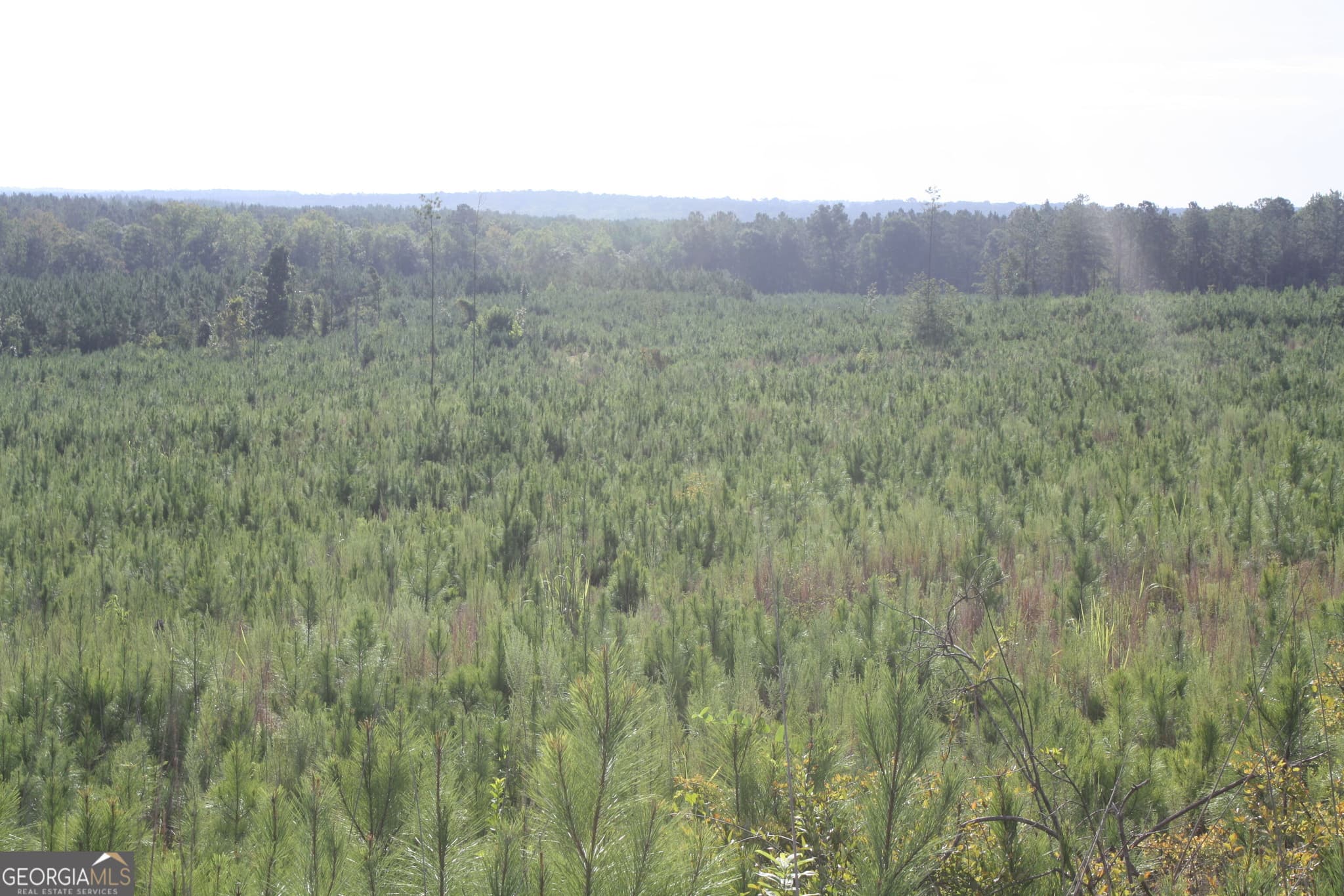 unimproved land for sale at 0 Balerma Church Road TRACT 2, Sparta, GA 31087 — photo 6