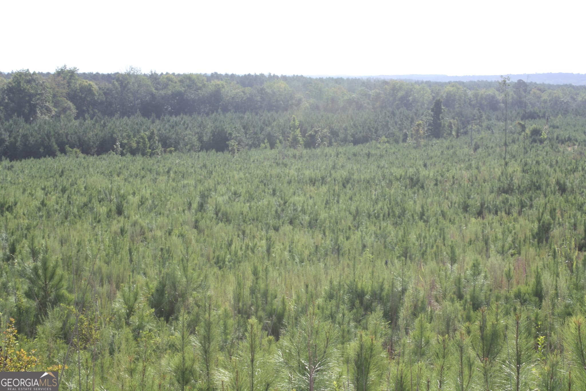 unimproved land for sale at 0 Balerma Church Road TRACT 2, Sparta, GA 31087 — photo 7