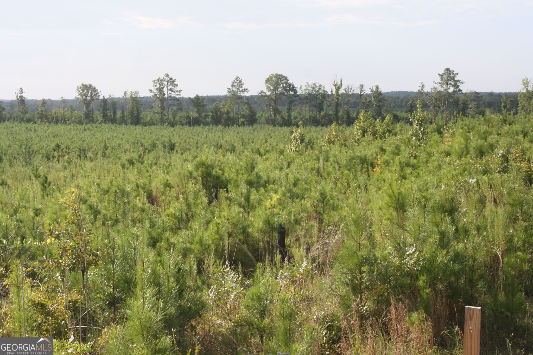 unimproved land for sale at 0 Balerma Church Road TRACT 2, Sparta, GA 31087 — photo 3