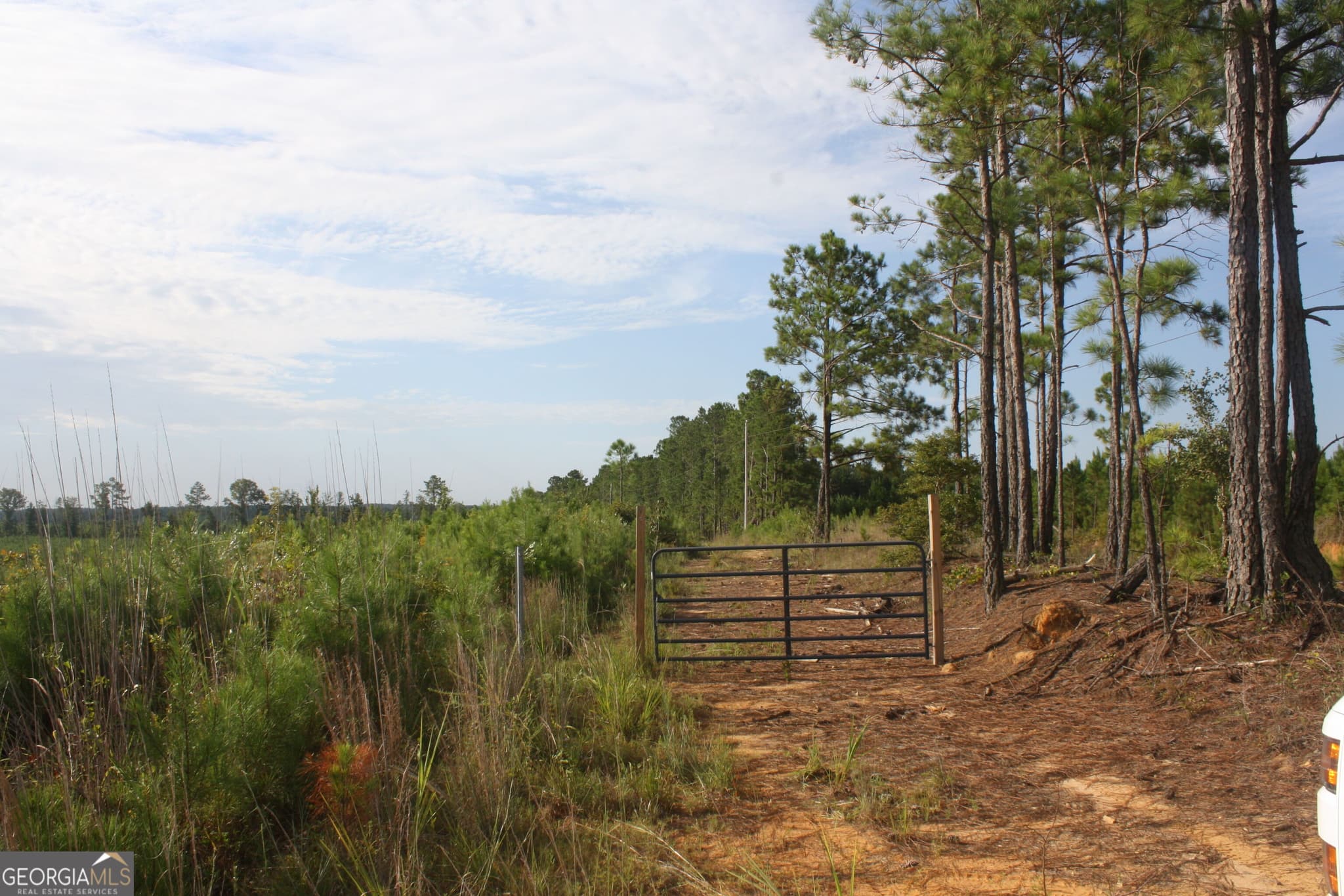 unimproved land for sale at 0 Balerma Church Road TRACT 2, Sparta, GA 31087 — photo 1 of 15