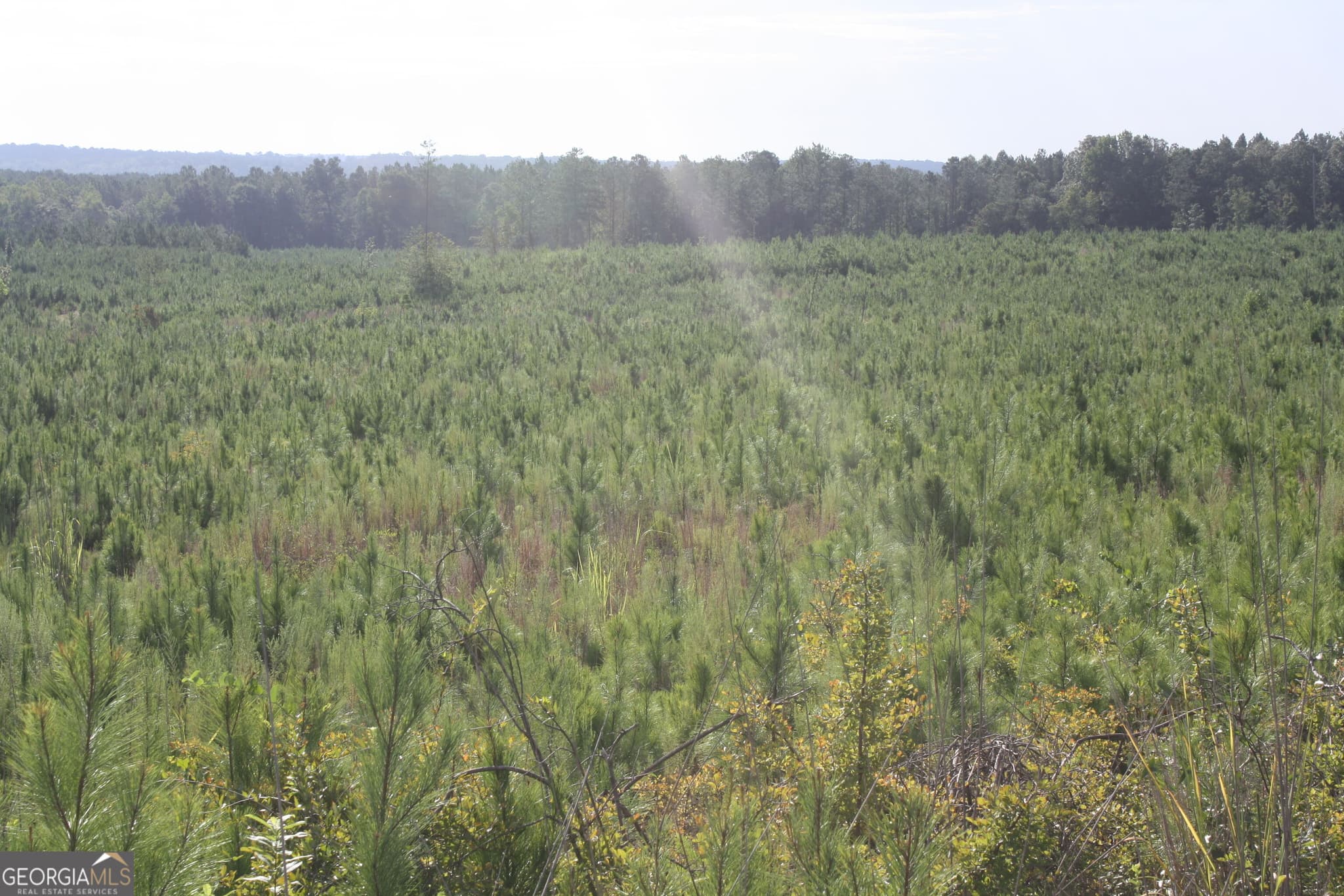 unimproved land for sale at 0 Balerma Church Road TRACT 2, Sparta, GA 31087 — photo 5