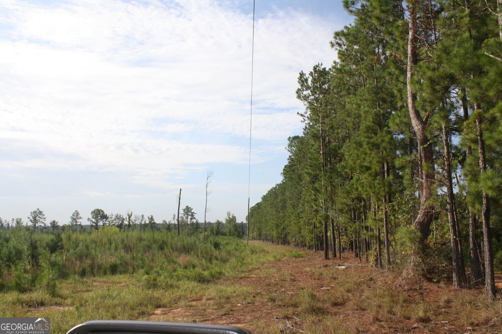 unimproved land for sale at 0 Balerma Church Road TRACT 2, Sparta, GA 31087 — photo 9
