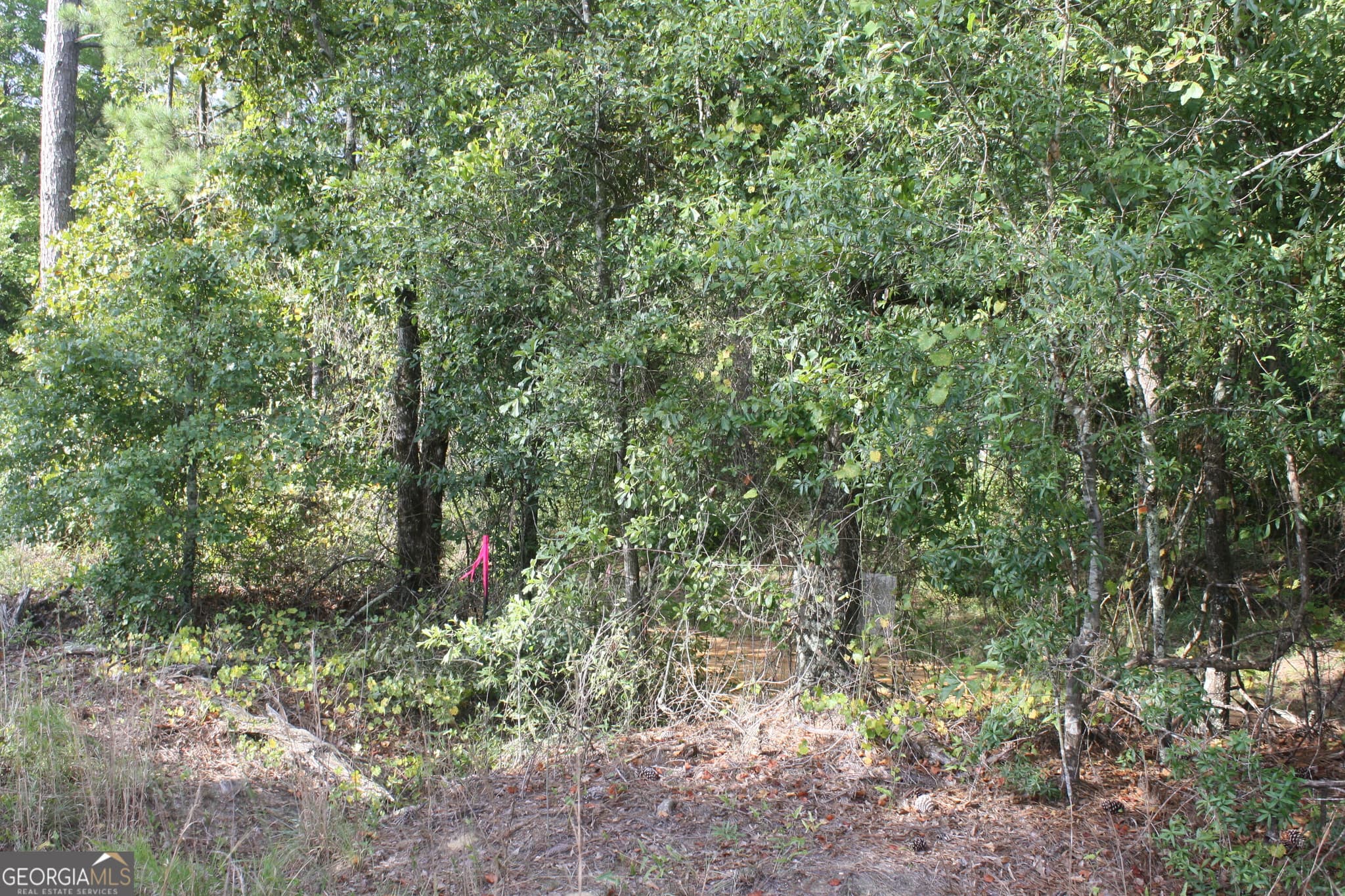 unimproved land for sale at 0 Balerma Church Road TRACT 2, Sparta, GA 31087 — photo 10
