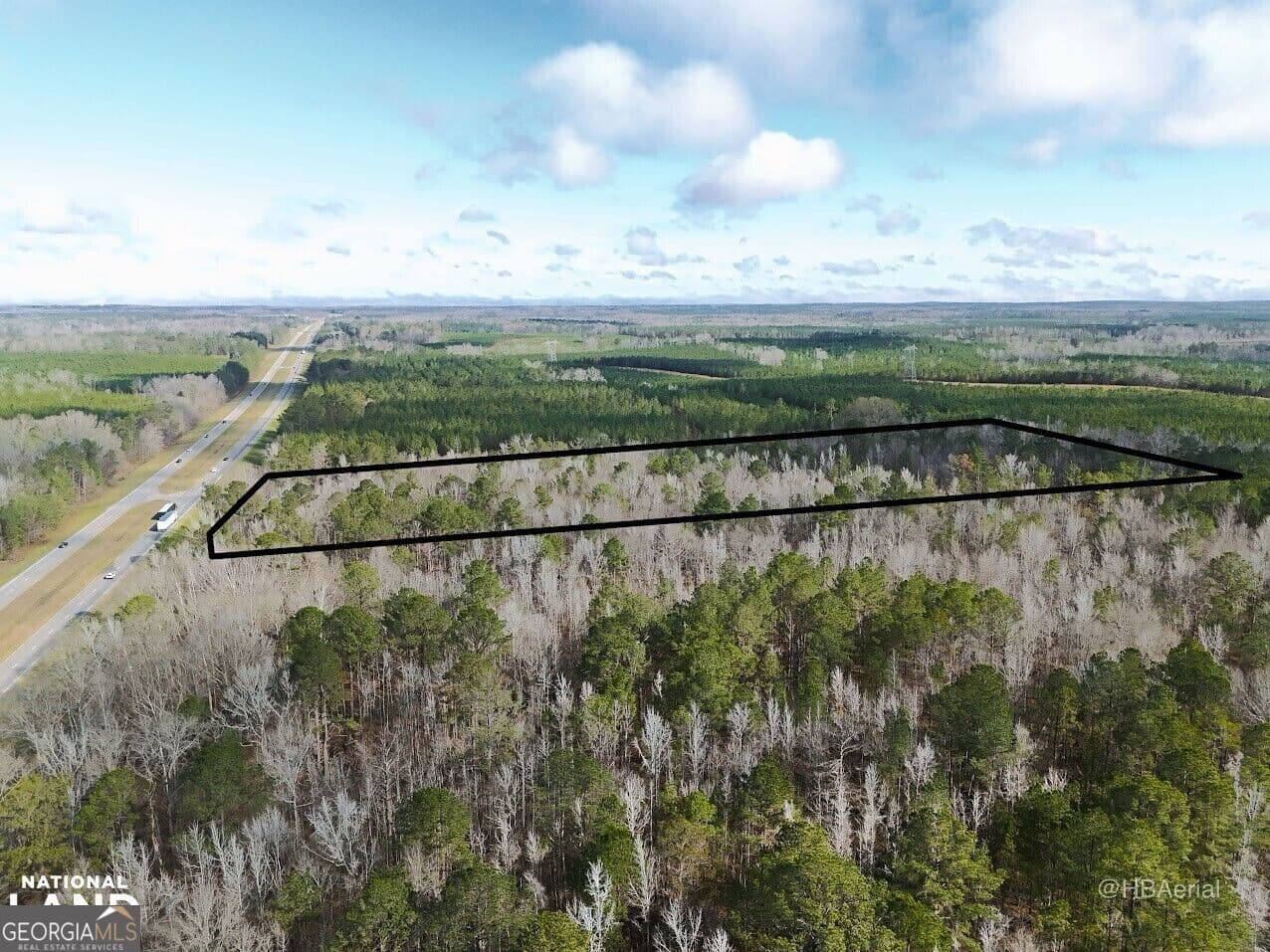 residential lot for sale at 0 Highway 231 TRACT A, Grady, AL 36036 — photo 2