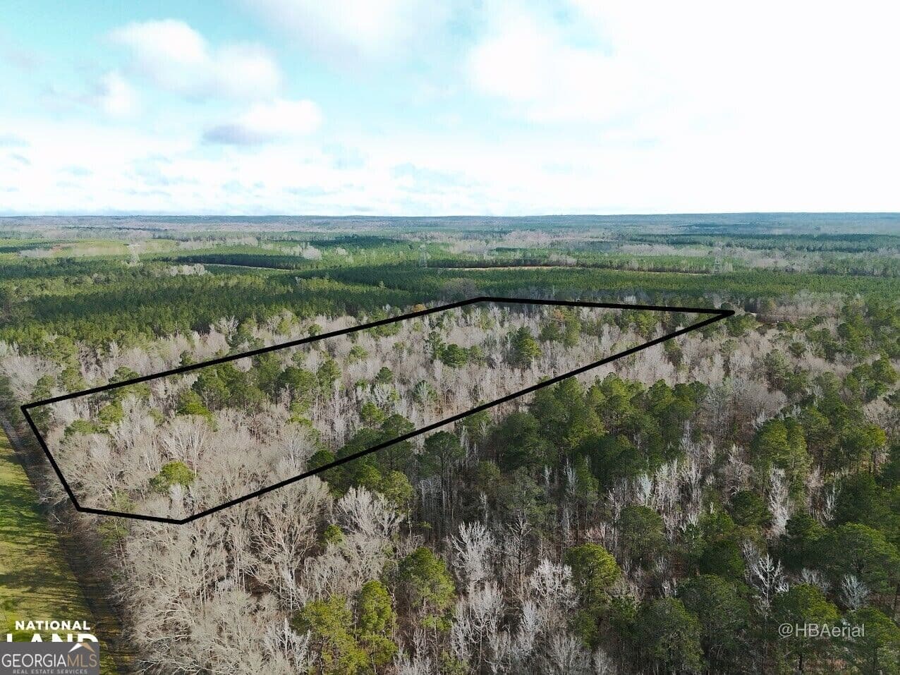 residential lot for sale at 0 Highway 231 TRACT A, Grady, AL 36036 — photo 6