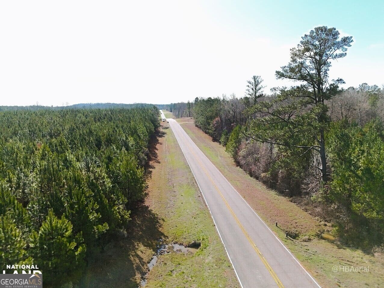 residential lot for sale at 0 Highway 231 TRACT A, Grady, AL 36036 — photo 7