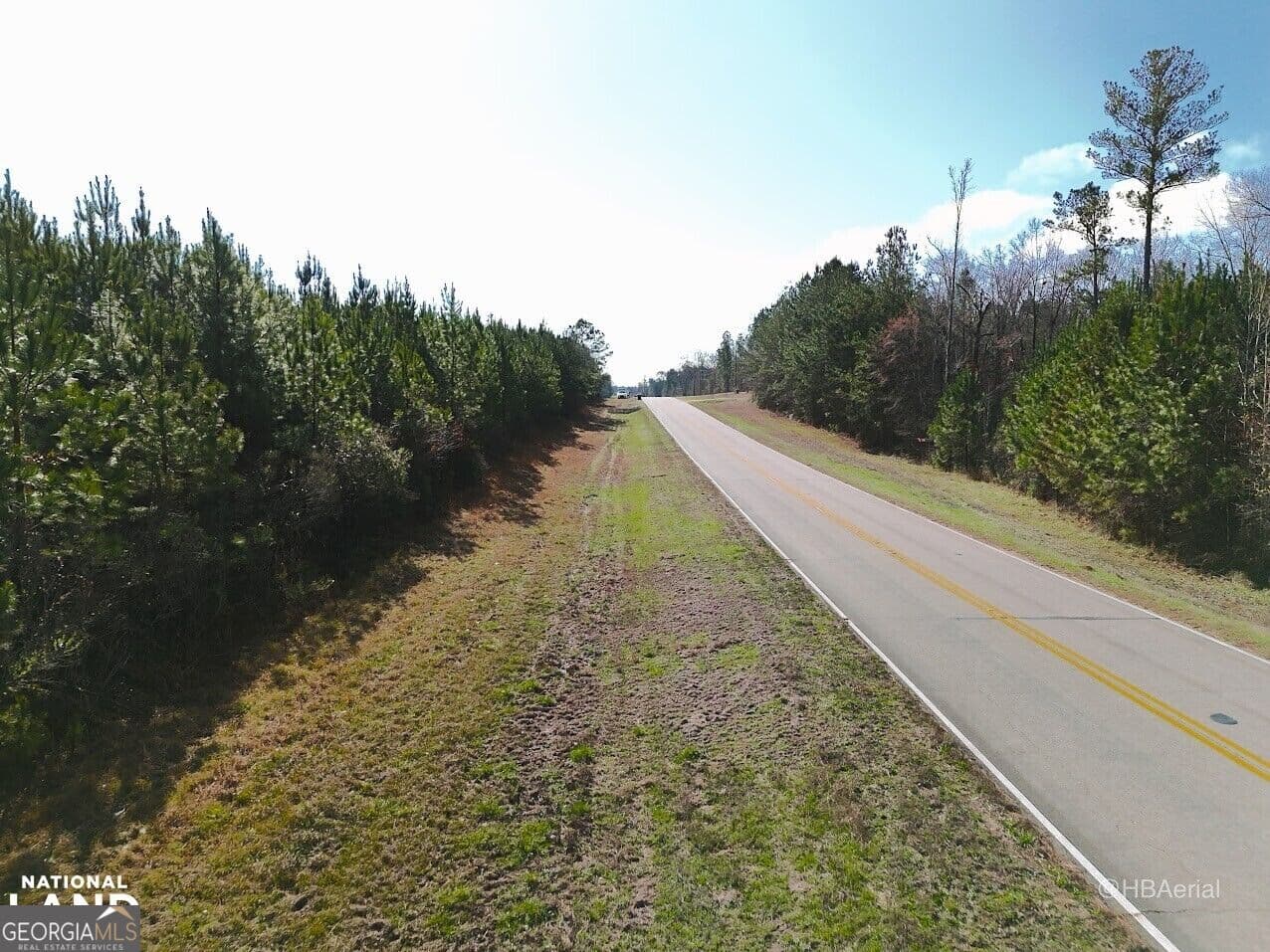 residential lot for sale at 0 Highway 231 TRACT A, Grady, AL 36036 — photo 3