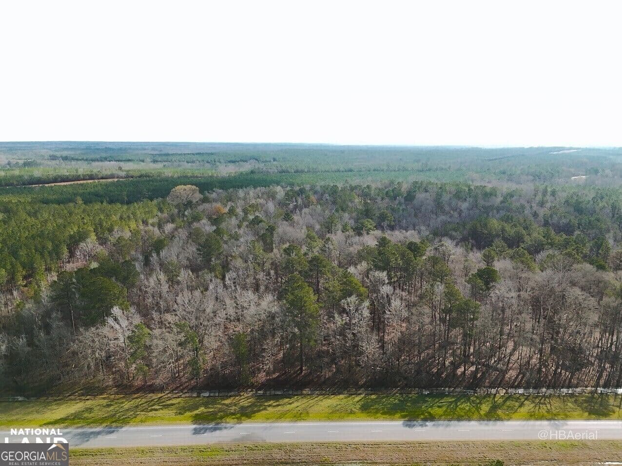residential lot for sale at 0 Highway 231 TRACT A, Grady, AL 36036 — photo 5
