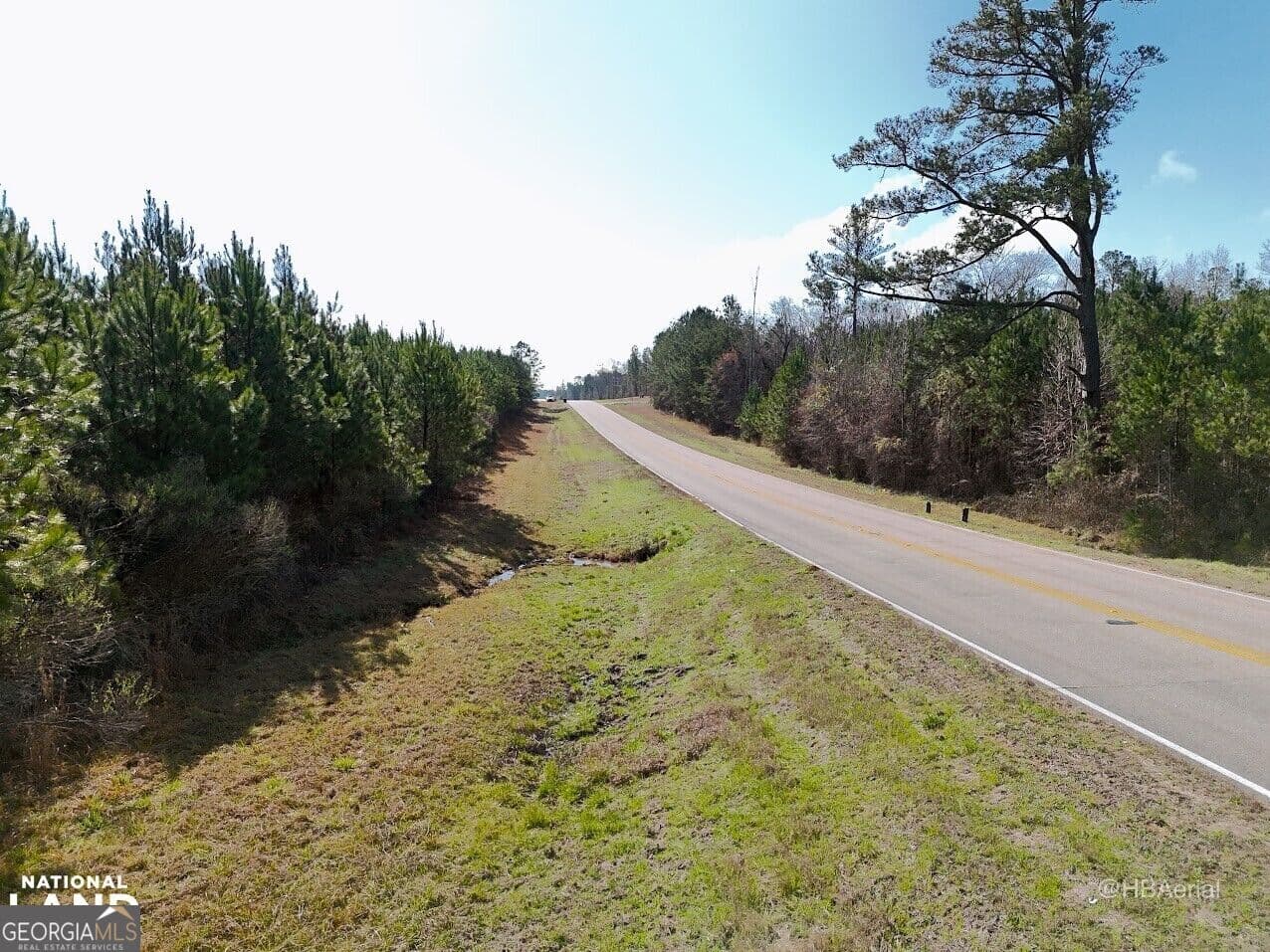residential lot for sale at 0 Highway 231 TRACT A, Grady, AL 36036 — photo 9
