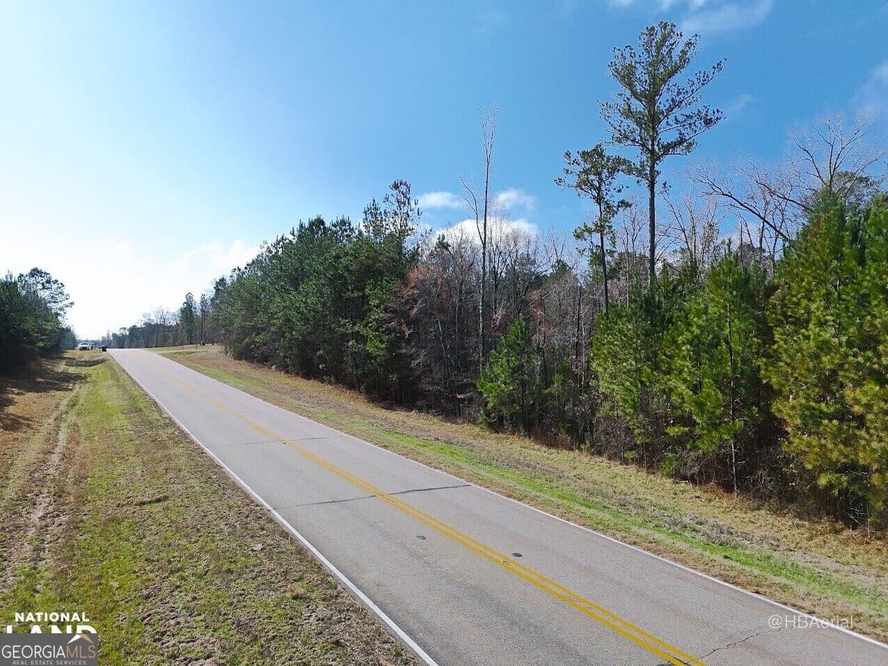 residential lot for sale at 0 Highway 231 TRACT A, Grady, AL 36036 — photo 10