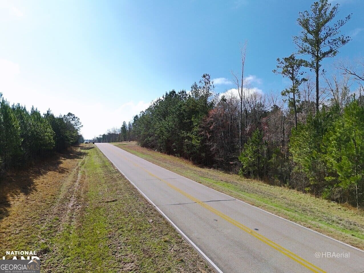 residential lot for sale at 0 Highway 231 TRACT A, Grady, AL 36036 — photo 4