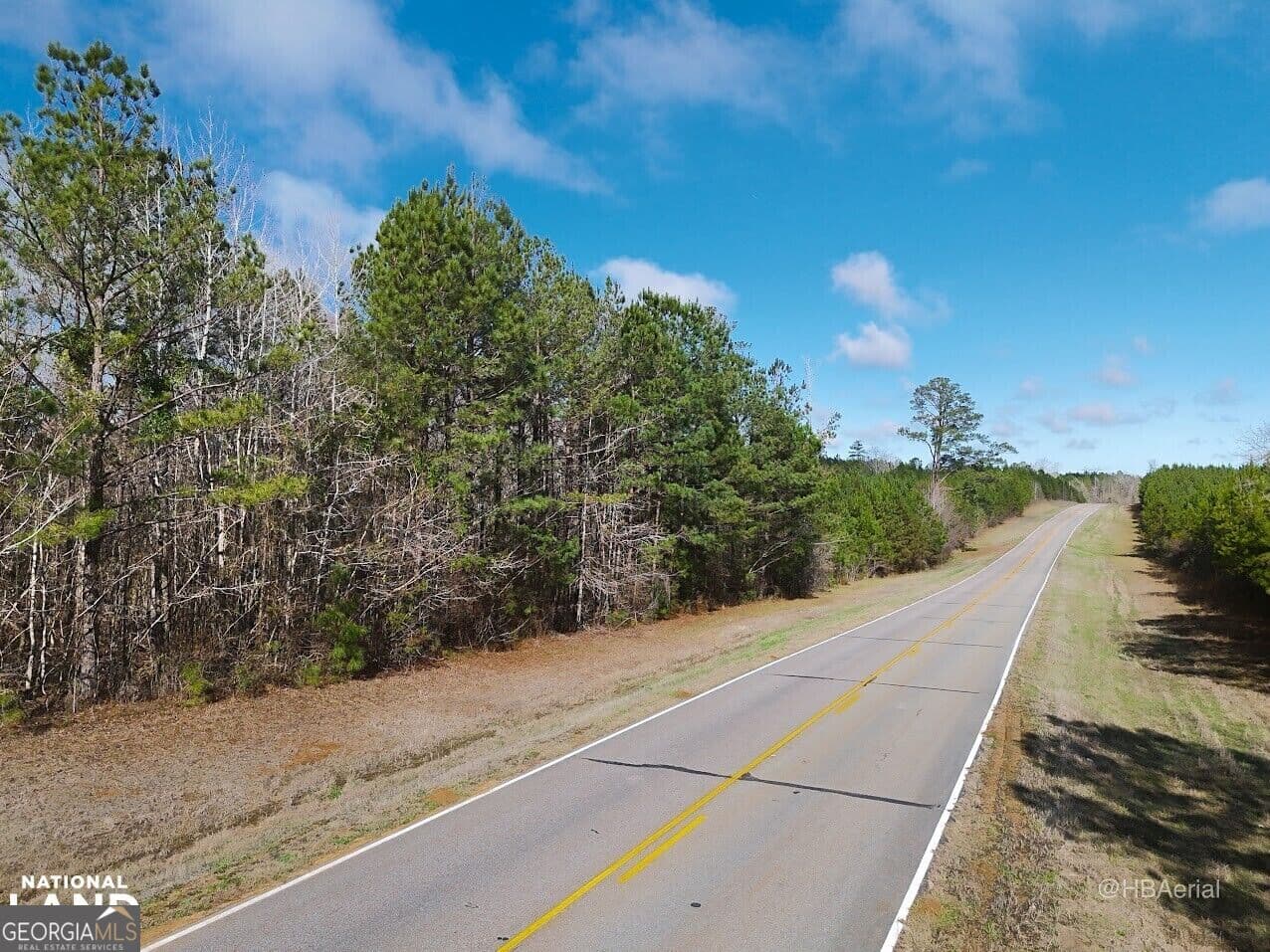 residential lot for sale at 0 Highway 231 TRACT A, Grady, AL 36036 — photo 8