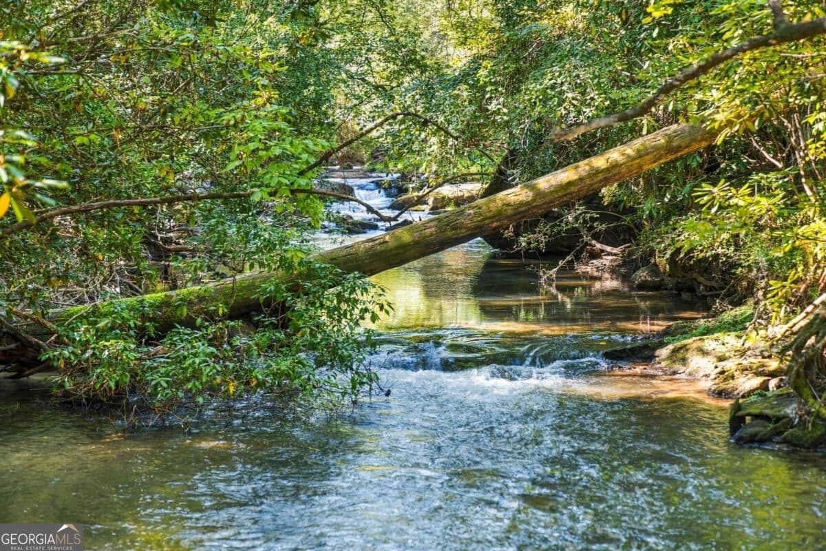 3 bedroom, 3 bathroom, 2,600 sq ft cabin,single family residence for sale at 264 Lickskillet Hollow, Blue Ridge, GA 30513 — photo 2