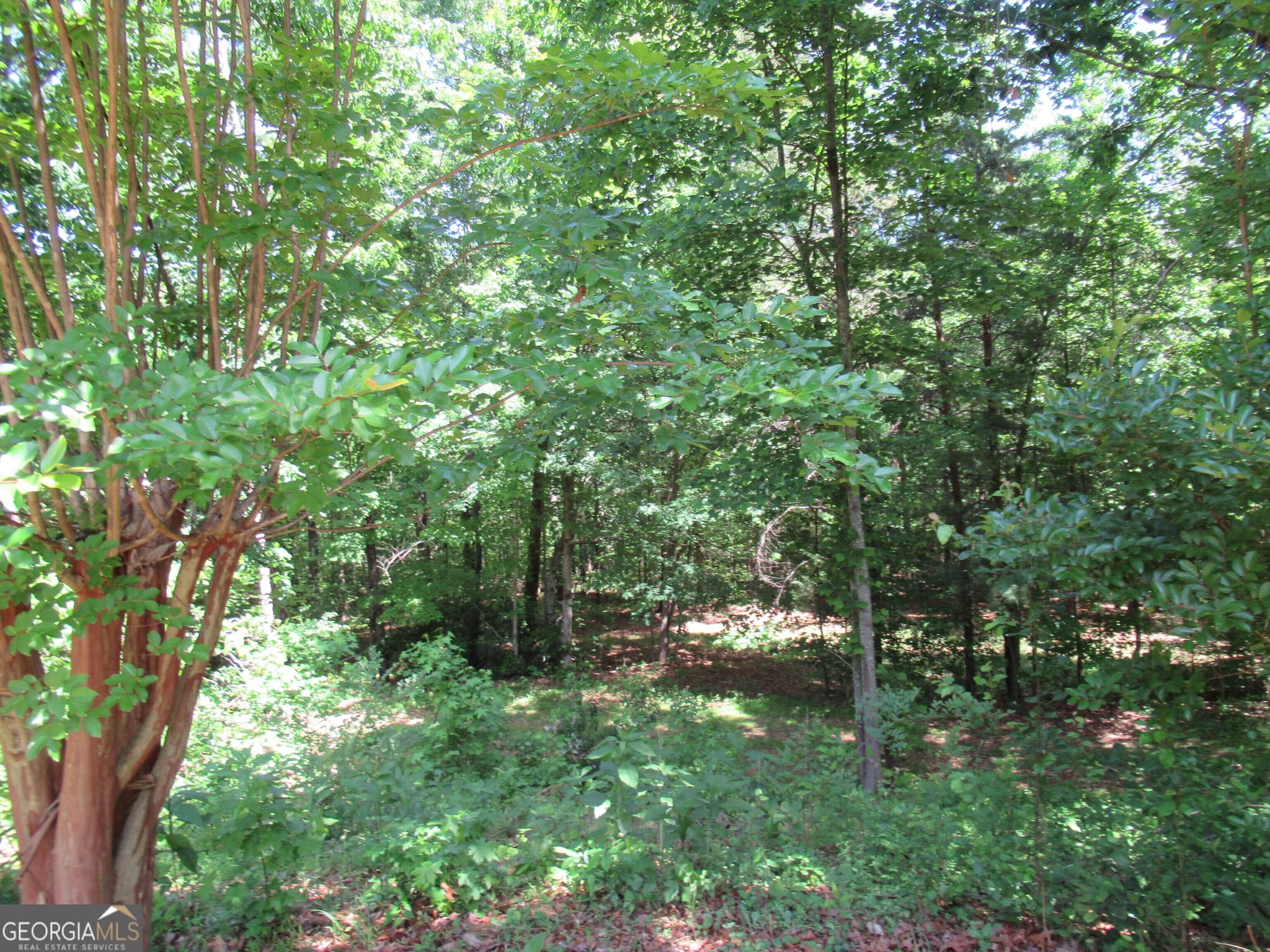 3 bedroom, 4.5 bathroom, 3,916 sq ft single family residence for sale at 620 Mount Pleasant Church Road, Cleveland, GA 30528 — photo 4