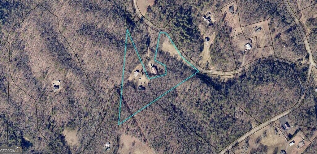 8 bedroom, 5 bathroom, 6,000 sq ft single family residence for sale at 160 Moores Road, Mineral Bluff, GA 30559 — photo 4
