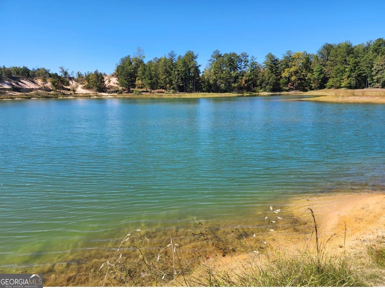 agriculture for sale at 0 Neal Road, Junction City, GA 31812