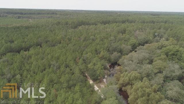 agriculture for sale at 0 Area Line Road, Claxton, GA 30417 — photo 2