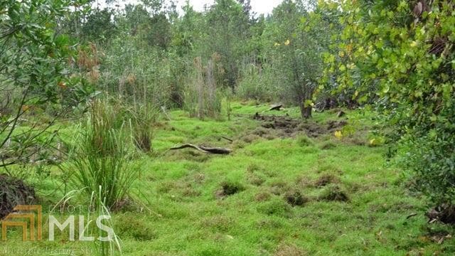 agriculture for sale at 0 Area Line Road, Claxton, GA 30417 — photo 6