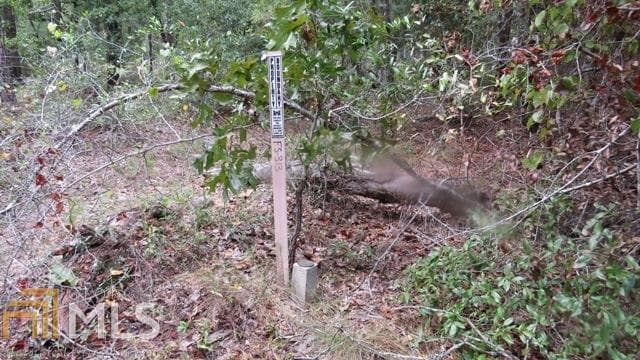agriculture for sale at 0 Area Line Road, Claxton, GA 30417 — photo 7