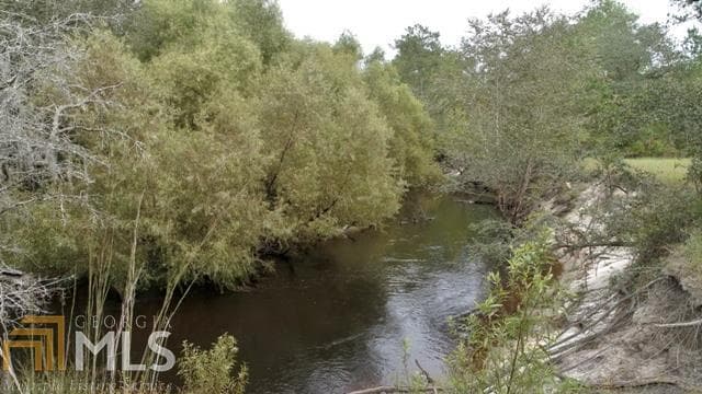 agriculture for sale at 0 Area Line Road, Claxton, GA 30417 — photo 3